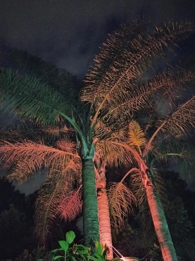 Tulipane Pensão 2*